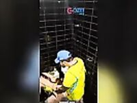 Petrolina na eleição comeu novinha safada
