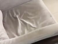 Famosinha do instagram pelada dando sua bucetinha perfeita