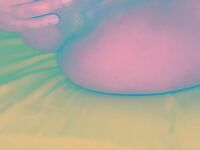 Lorrana Joyce tiktok se masturbando gostoso