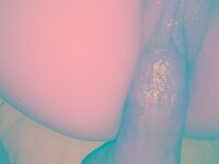 Sexo com virgem tirando cabaço da prima novinha
