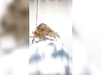 Novinha Mama Furtado rebolando a bunda gostosa
