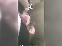 Jessica Minassian dando prazer ao safado do motorista