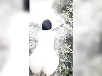 Xgisa telegram fazendo sexo no meio do mato