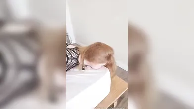 Ruiva Isabel fazendo boquete toda linda bem submissa