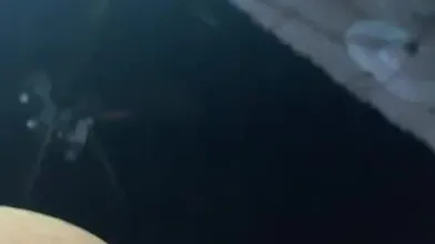 Lua Uchiha pelada masturbando sua buceta rosinha