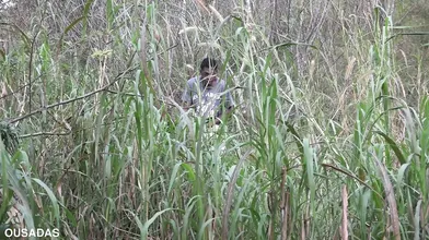 Amanda Borges went down to pee and fucked a man in the woods