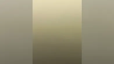 eating wife's pussy